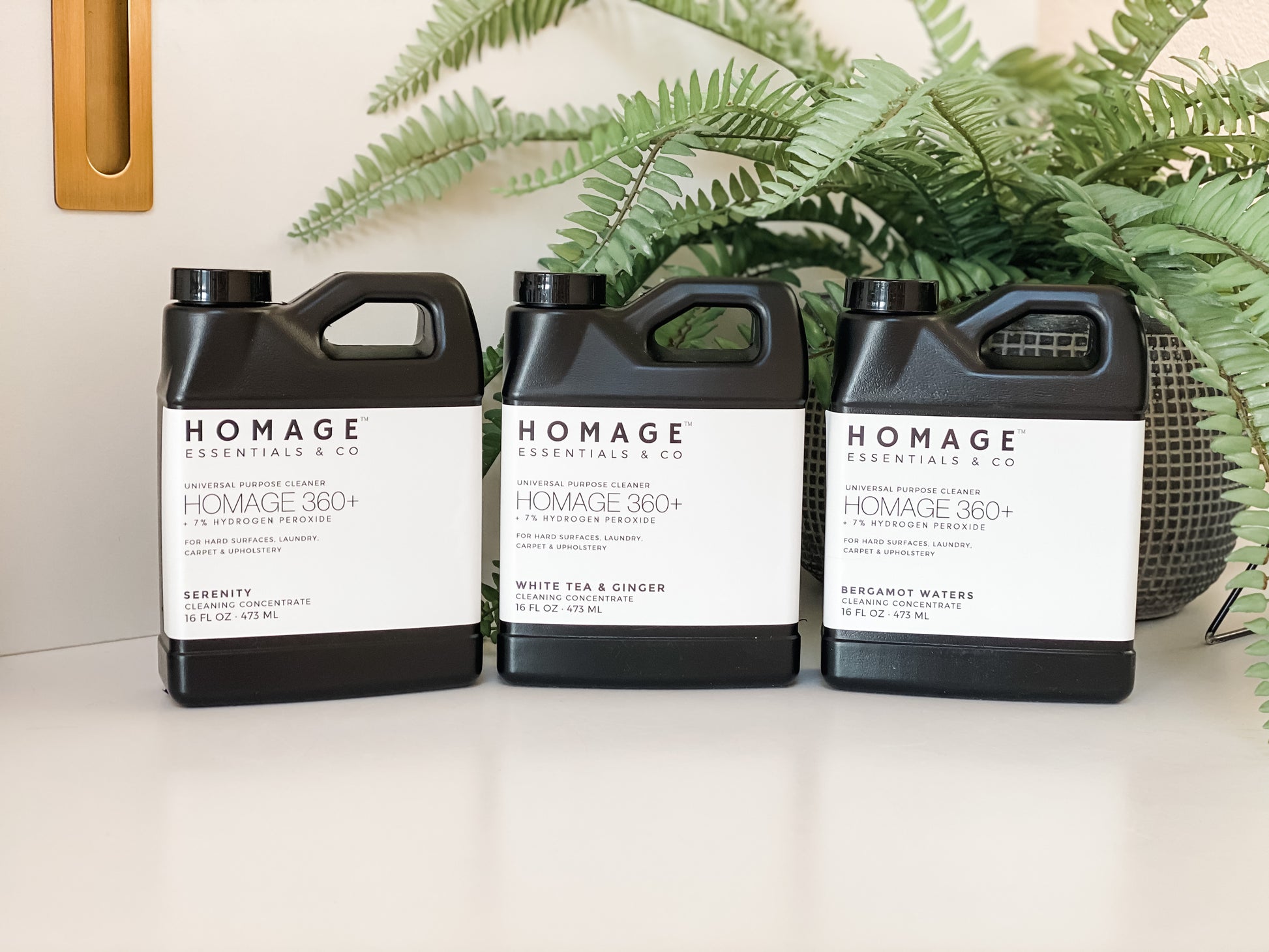 Homage 360+ 7% Hydrogen Peroxide Cleaner Concentrate 16oz - 3 Pack - Homage Essentials & Co